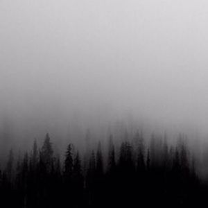 Meet your Posher, Thee